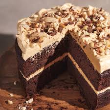 Chocolate Peanut Butter Cake
